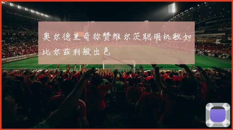 奥尔德里奇称赞维尔茨聪明机敏如比尔兹利般出色