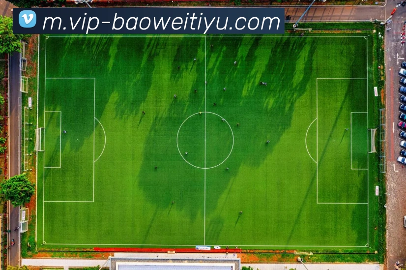 宝威体育APP 高清赛事图